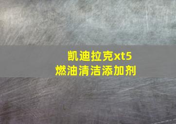 凯迪拉克xt5 燃油清洁添加剂